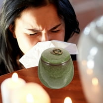 FRCOLOR Pet Urn Ceramic Memorial Pet Cremation Urn Dog Cat Ashes Container Keepsake Urn