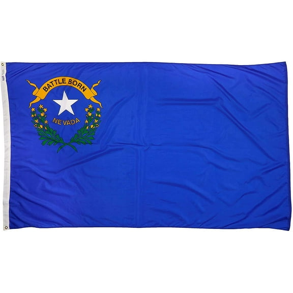 Nevada Flag (5 ft. x 8 ft.) CA2
