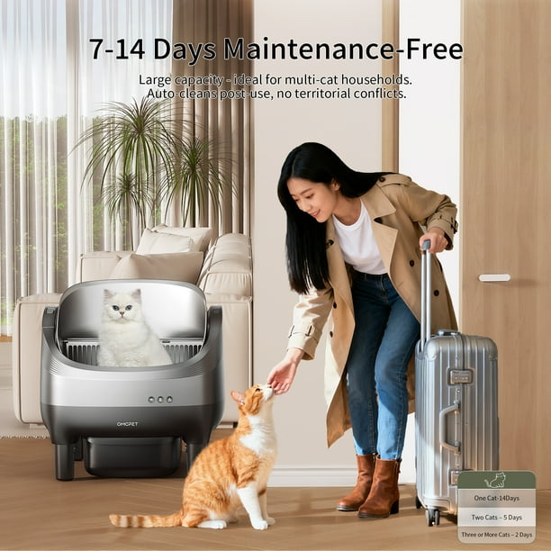C10 Litiere Chat Autonettoyante Litière Automatique, 10 Capteurs