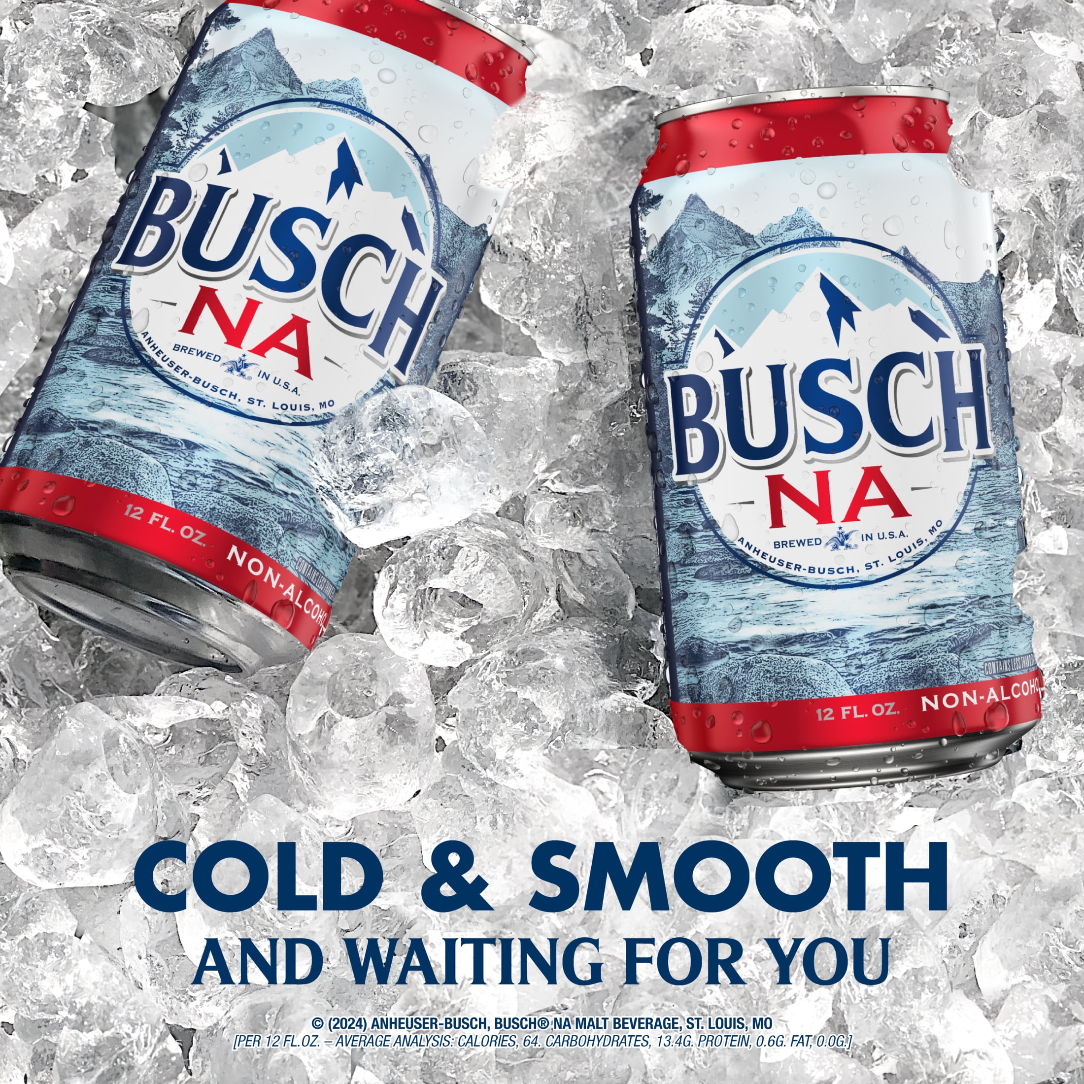 Busch 2024 na beer