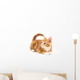 thumbnail image 1 of Little Red Kitten Looking Wall Mural Decal by Wallmonkeys Vinyl Peel and Stick Graphic (18 in W x 12 in H), 1 of 4
