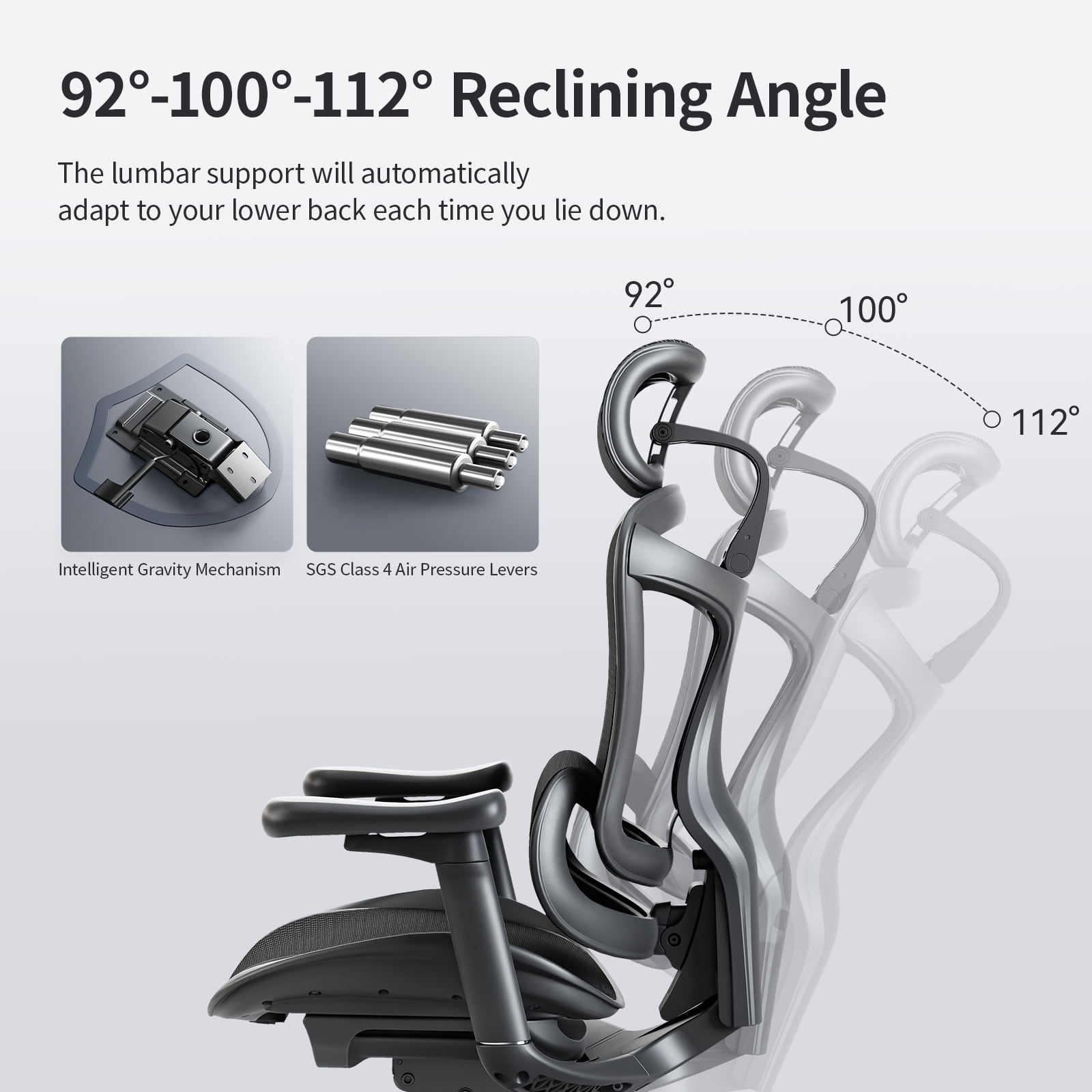 Free Shipping! SIHOO Ergonomic Office Chair Doro C300 Free Shipping! SIHOO Ergonomic Office Chair Doro C300