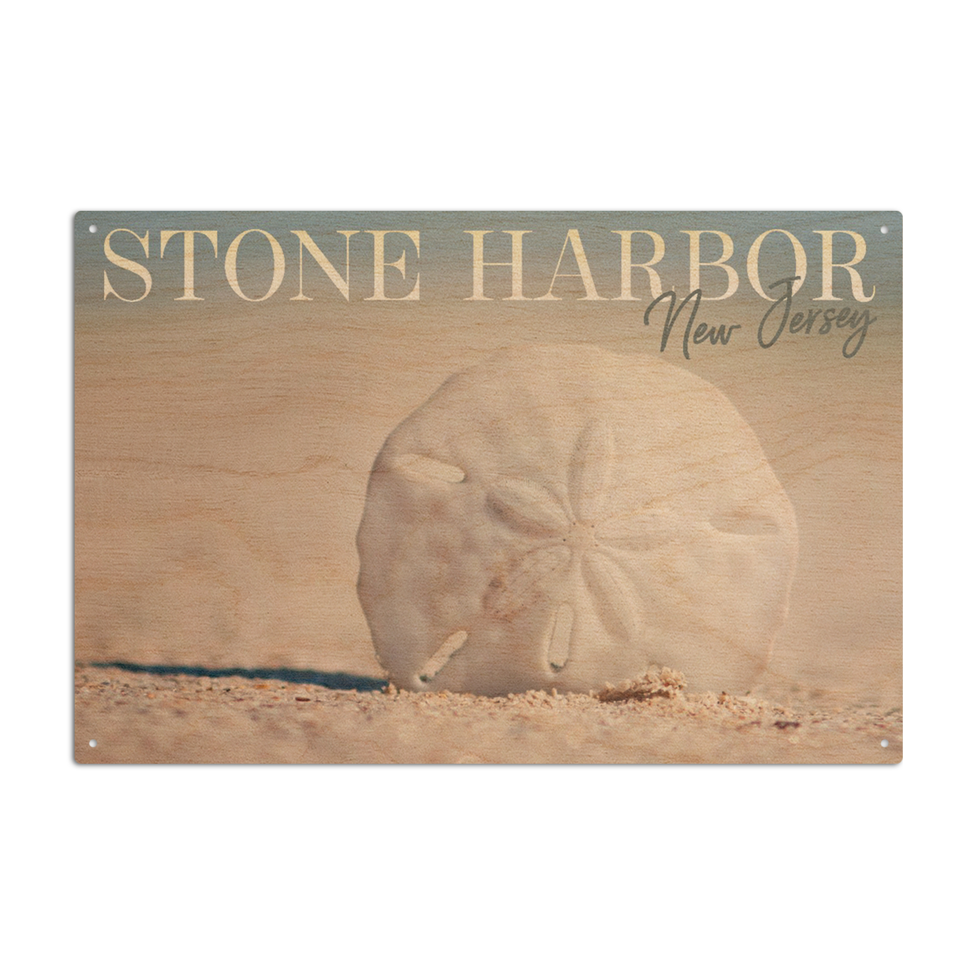 Stone Harbor, New Jersey, Sand Dollar on Beach Birch Wood Wall Sign