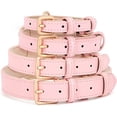 thumbnail image 5 of Collar de cuero para perros pequeños, medianos y grandes, ajustable, hecho de cuero suave y transpirable. Collar clásico para cachorros, acolchado e impermeable. Collar para mascotas., 5 of 5