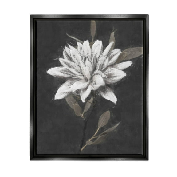 Stupell Industries Traditional White Dahlia Flower Graphic Art Jet Black Floating Framed Canvas Print Wall Art, Design by Nina Blue