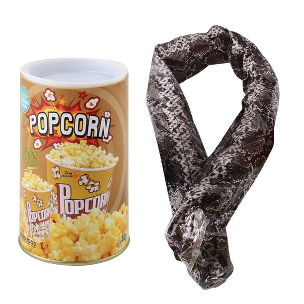 Potato Chips Snake Prank Potato Chip Snake Can Snake In A Potato Chip Can Prank Potato Chip Cans Scary Trick Jump Spring Snake Toy