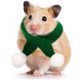 thumbnail image 4 of Gorro y bufanda navideños ajustables para lagartijas pequeñas, ideal para gatitos y perros (2024). Bufanda navideña para mascotas, pollos y otros animales. Accesorios para mascotas., 4 of 4