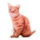 thumbnail image 2 of Gwong Juguete 50 cm Simulación linda Three-Dimension Cat Almohada Tiger Pattern Muñeca de peluche Juguete Gwong 30006985, 2 of 7