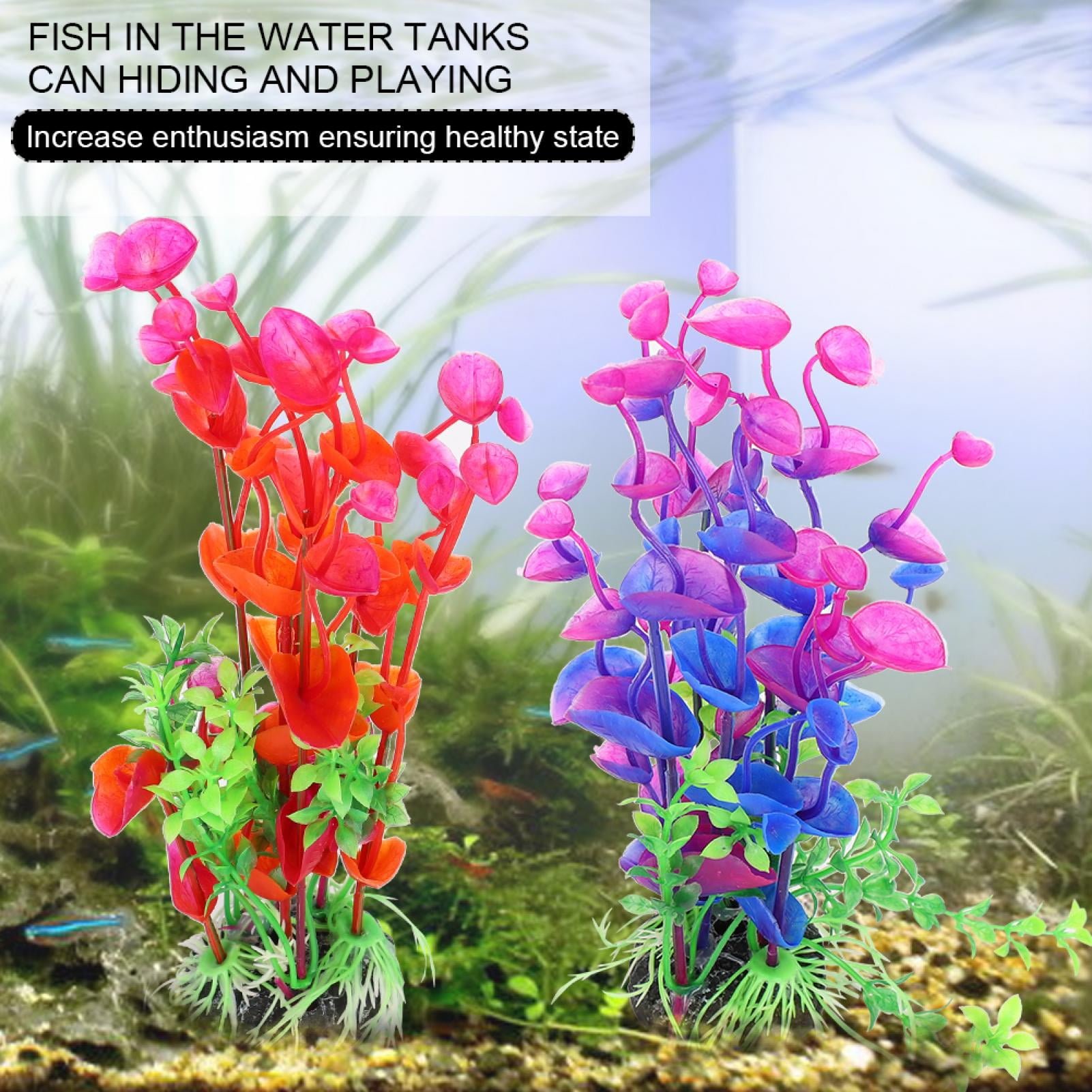 Goldfish aquarium water change laderws