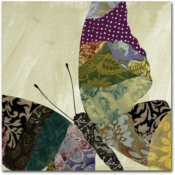 Trademark Fine Art "Butterfly Brocade I" Canvas Art by Color Bakery