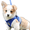 Gray, variant on DESIGNICE Dog Harness Vest Harness Design Dog Harness Small Sized Dog Escape-Proof Feature Dog Harness for Small Dogs,Blue,XS