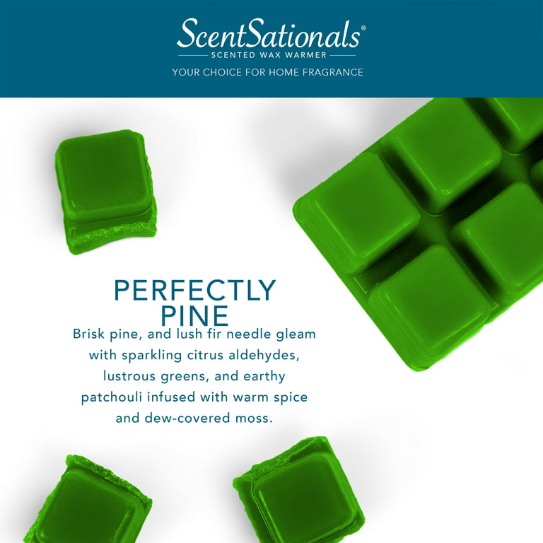 Scentsationals 5 oz Perfectly Pine Scented Wax Melts, Value Size