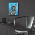 thumbnail image 5 of Epic Art 'Gray Cat' by Rebecca Wang Art, Acrylic Glass Wall Art, 12"x16", 5 of 8