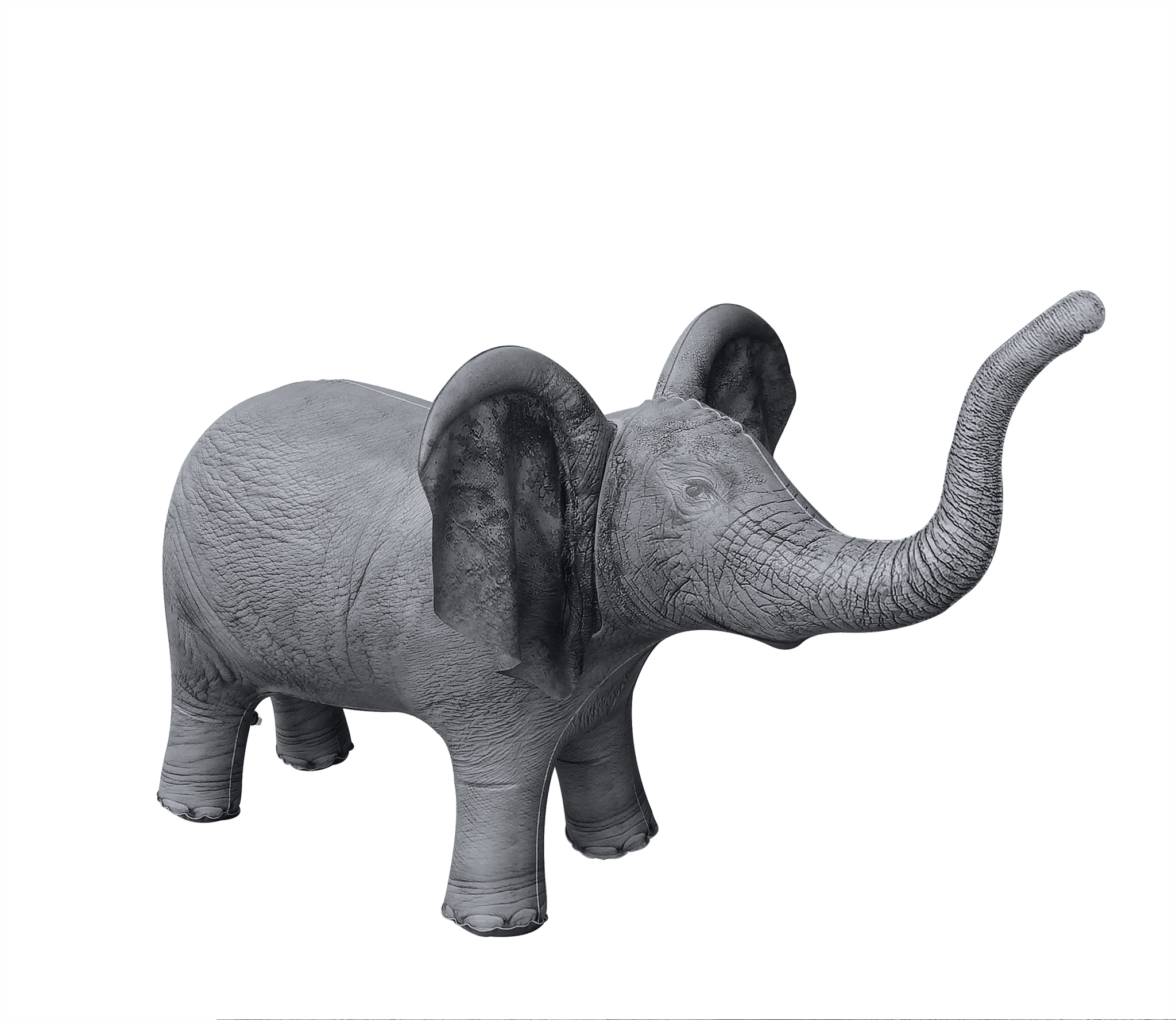 popular elephant toy