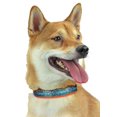thumbnail image 1 of Zubaz NFL Team Adjustable Pet Collar for Dogs & Cats Miami Dolphins Large, 1 of 3