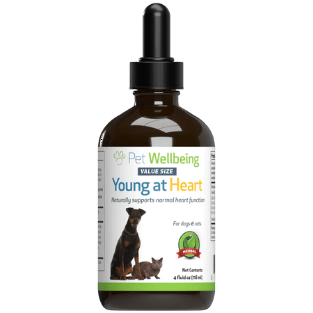 UPC: 0661822600306 | Pet Wellbeing Natural Dog Heart Health Support – Young at Heart 4oz (118ml)