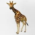 thumbnail image 2 of CafePress - The Giraffe - Adjustable Unisex Printed Trucker Hat with Mesh Back, 2 of 8