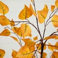 thumbnail image 4 of Nearly Natural Birch Potted Artificial Tree - 4' - Yellow and White, 4 of 6