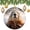 Pattern-7, variant on Marmot, Groundhog Animal with Purple Floral Christmas Ornament Cute Animal 3" Ceramic Christmas Ornament Ornament for Christmas Tree for Woman Friend Birthday