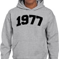 thumbnail image 2 of 1977 College Style Hoodie Sweatshirt Unisex 3X-Large Grey, 2 of 5