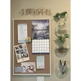 thumbnail image 7 of Mkono Wall Hanging Planter Propagation Station Glass Flower Vase for Hydroponics Plants,Oblate Set of 4, 7 of 7