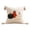 E, variant on Fall Harvest Throw Pillow Covers 18x18 Inch, Pumpkin Decorative Square Pillowcases, Farmhouse Holiday Cushion Covers for Sofa Living Room Home Fall Halloween Thanksgiving Decor