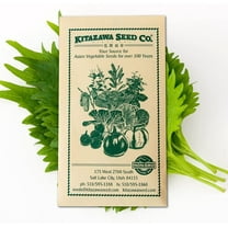 Korean Perilla Seeds - 2 g Packet ~600 Seeds - Perilla frutescens var. frutescens - Non-GMO, Heirloom, Open Pollinated - Vegetable & Herb Gardening Seeds