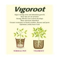 thumbnail image 2 of Tierra Garden 50-VIG10 Haxnicks 4.0 Gallon Vigoroot Pots, 3-Pack, 2 of 4