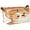 Cute-corgi, variant on Foldable Iron Frame Open Home Storage Bins 16.9×11.4×10 Inch Waterproof Nice Cube Shelf Baskets Greenfox