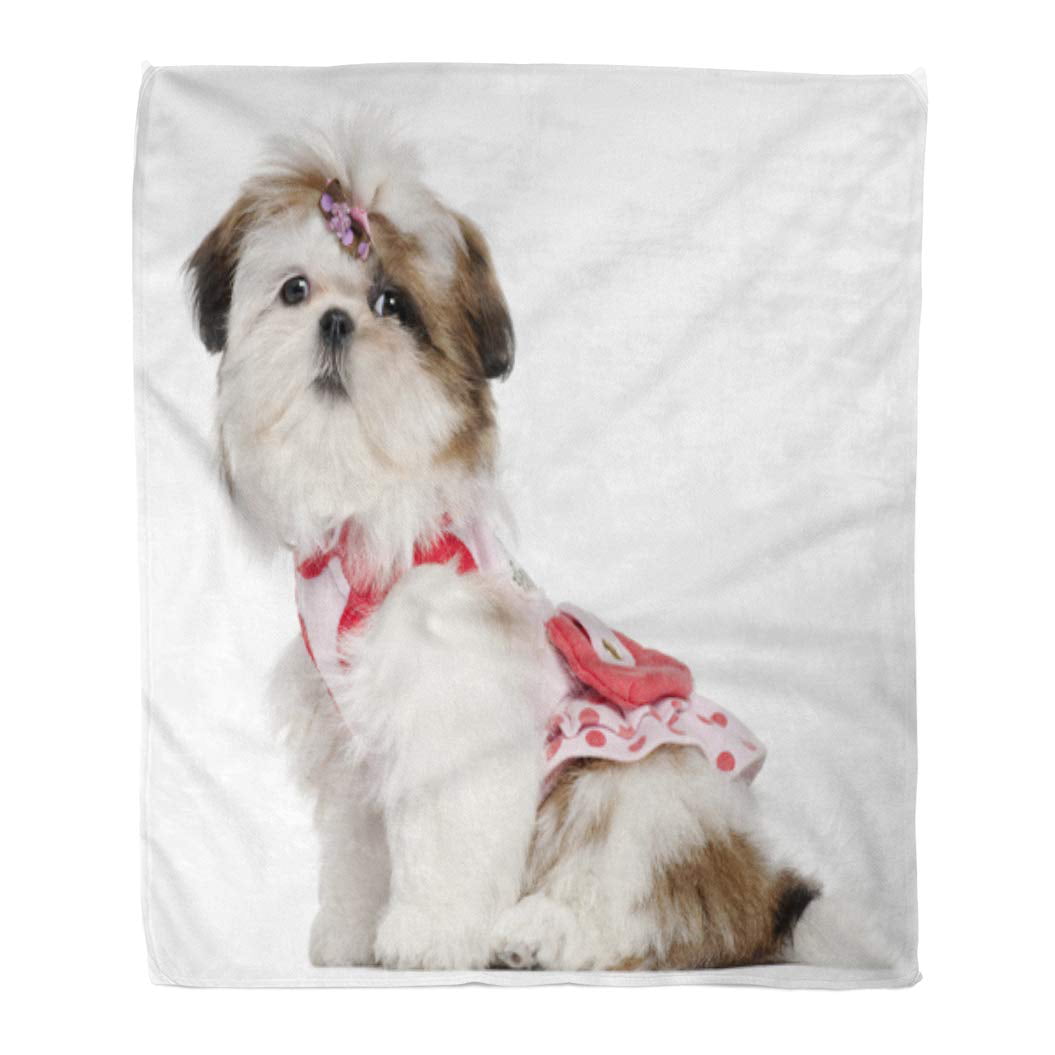 Shih Tzu Dog Fleece Blanket Throw Lightweight Blanket Super Soft Cozy Bed Warm Blanket for Living Room/Bedroom All Season