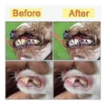 thumbnail image 3 of Dog Plaque and Tartar Remover, Ultrasonic Teeth Cleaner for and Cats, Ultrasonic Dental Kit, Dental, 3 of 5
