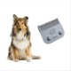 thumbnail image 2 of Detachable Pet Dog Grooming Clipper Ceramic Blade, 7F, 2 of 4