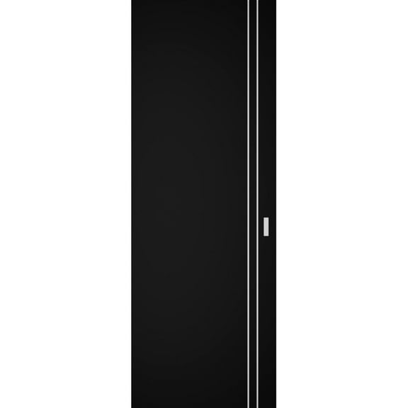 Hidden Barn | Planum 0310 Black Matte | Sturdy Finished Modern Doors | Magic Concealed Sliding Set 18" x 80"