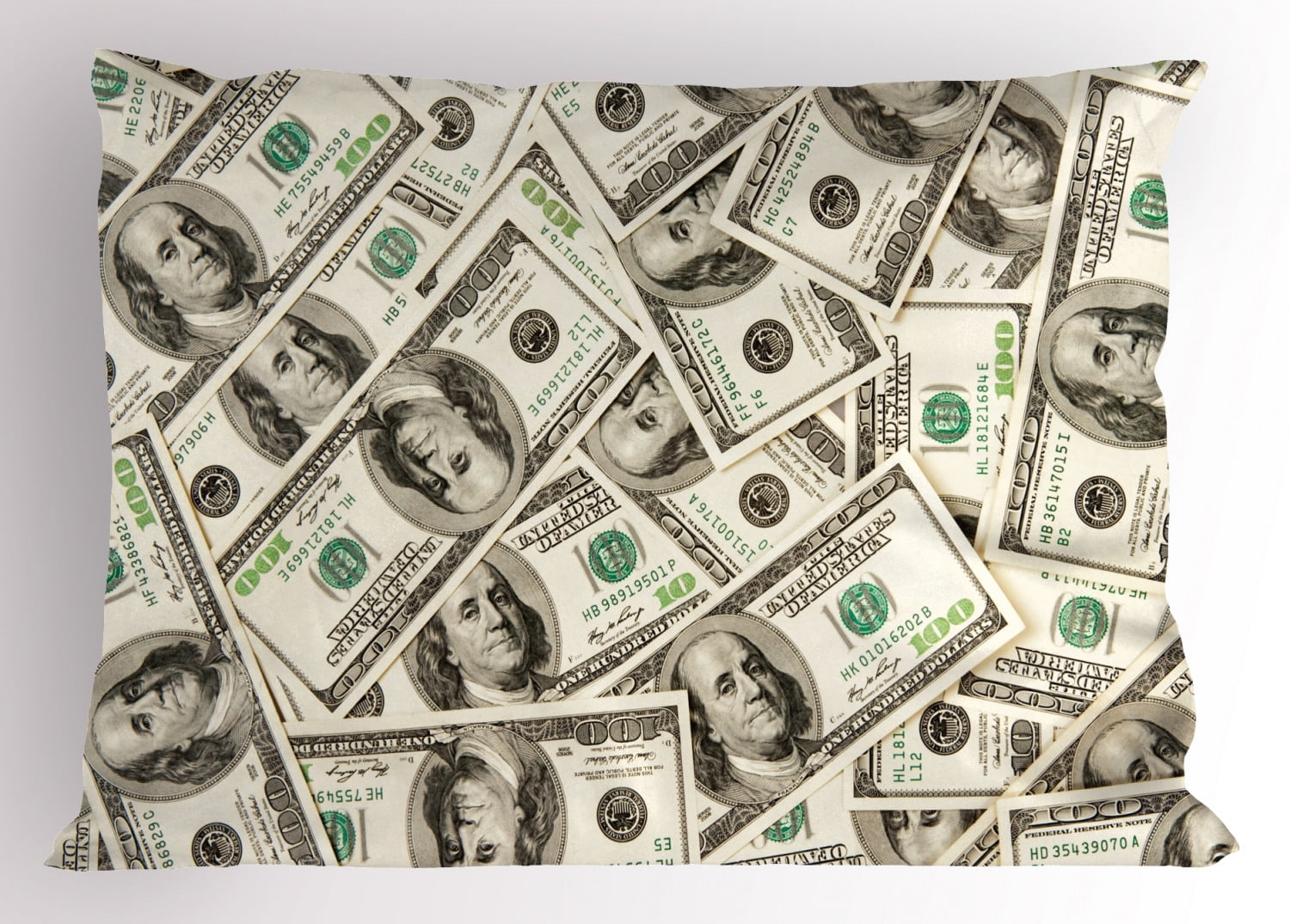Details about   Money Pillow Sham Bills with Ben Franklin King Size Pillowcase 36 x 20 Inches 
