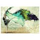 thumbnail image 1 of Prettyia 5D diamante pintura perro arte artesanía todo el volante Sunnimix 5D Diamond Painting, 1 of 7