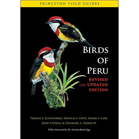 Princeton Field Guides: Birds of Peru (Paperback)