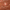 Tan, variant on Time and Tru Women's Boho Embroidery Belt, Tan