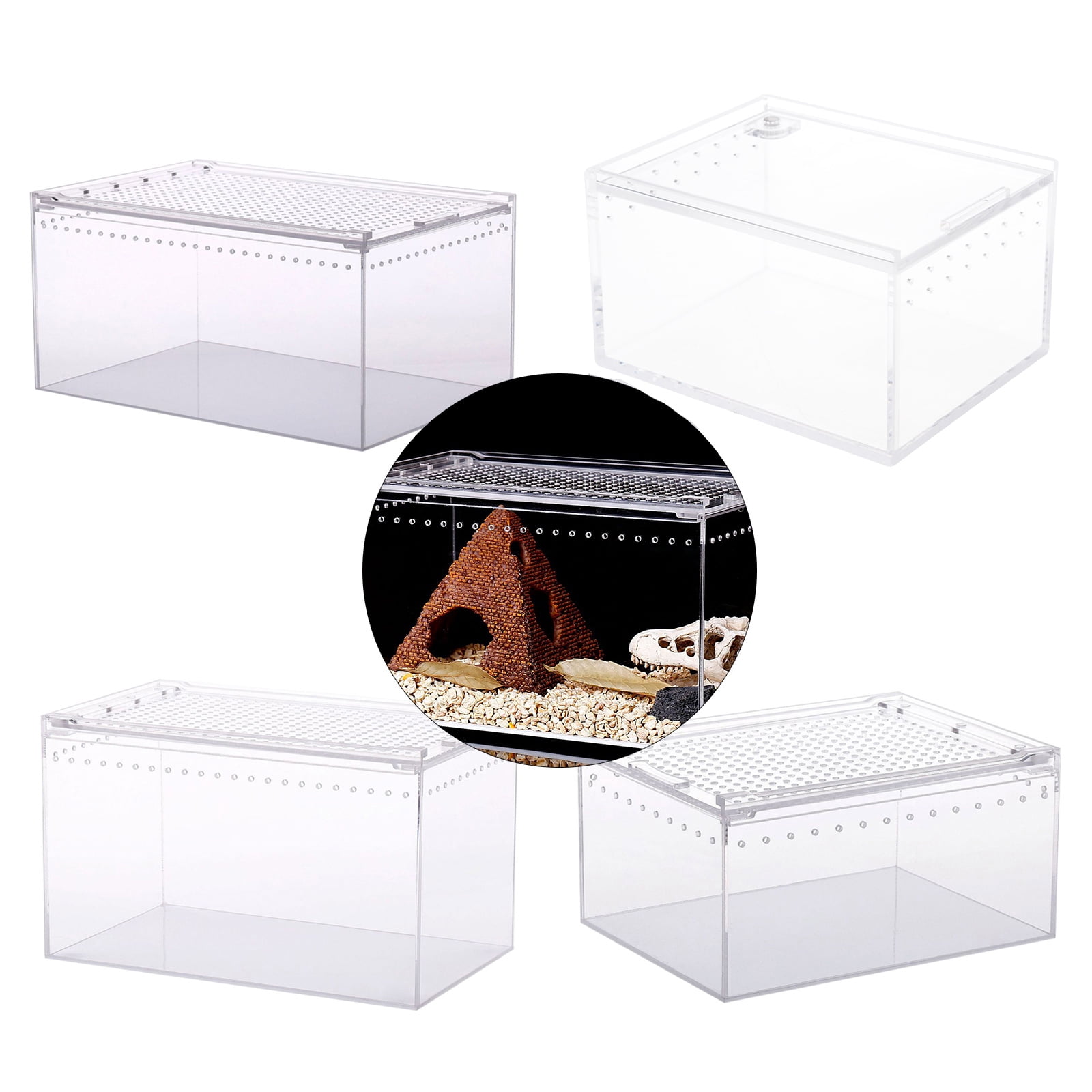 Reptile Box Feeding Small Pet Horned Spider Lizards Snail Snake Clear Designed Box Silkworms Snake House