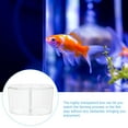 thumbnail image 3 of KAKOWELY Boîte Transparente pour Éleveur, Boîte d'Isolation pour Aquarium Domestique, 7.87x"X4.72"X4.33 Pouces, 3 of 5