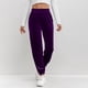 thumbnail image 4 of Karight Women's Velour Pants Soft Velvet Straight Leg Sweatpants Elastic Waist Warm Lounge Pant with Pockets, 4 of 5