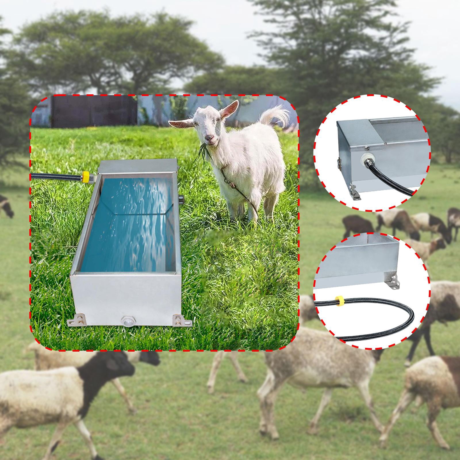 CarpNettore Automatic Livestock Water Trough Waterer 7.5L with Float Valve Outdoor Pet Water