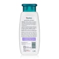 thumbnail image 2 of Shampoo Himalaya Gentle Baby 3x400ml Sin Lágrimas Hidratante, 2 of 7