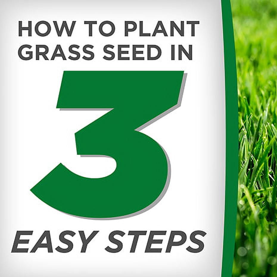 Pennington 100086830 Smart Seed Tall Fescue Premium Grass Seed Blend, 3-Pound