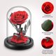 thumbnail image 2 of Kit de rosas de La Bella y la Bestia XCF rosa eterna en un vaso regalos románticos de cumpleaños para novias, 2 of 4