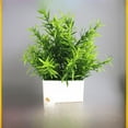 thumbnail image 1 of Plantas de simulación Plantas falsas Plantas verdes Interior y exterior Decorativas Eucalipto en maceta de plástico Plantas en macetas pequeñas, 1 of 4