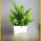 thumbnail image 1 of Plantas de simulación Plantas falsas Plantas verdes Interior y exterior Decorativas Eucalipto en maceta de plástico Plantas en macetas pequeñas, 1 of 4