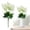 White, variant on Delphinium Artificial Flowers 1PC Purple Fake Flowers 13.5" Tall Flowers Faux Delphinium for Floor Vase Light Purple Flowers for Wedding Centerpieces Home Decor Indoor(White)