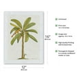 thumbnail image 2 of Banana Tree (Musa sapientum) - Plate From The Natural History of Barbados - Vintage Botanical Illustration by Georg Dionysius Ehret c.1700s - Japanese Unryu Rice Paper Art Print (Unframed) 12 x 16 in, 2 of 4