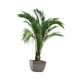 thumbnail image 1 of Pegatinas de pared de plantas en 3D, pegatinas de pared de plantas en macetas, pegatinas de pared de hojas de PVC para la cocina, el, 1 of 9