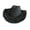 Black, variant on AOOOWER Cowboy Hat Feathers Hat for Disco House Cocktail Parties Cowgirl Theme